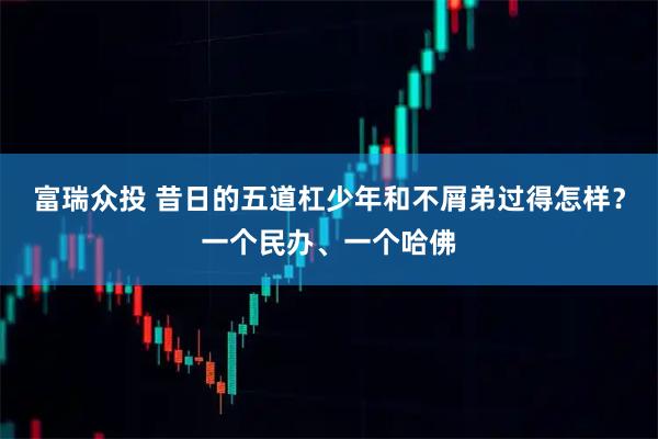 富瑞众投 昔日的五道杠少年和不屑弟过得怎样？一个民办、一个哈佛