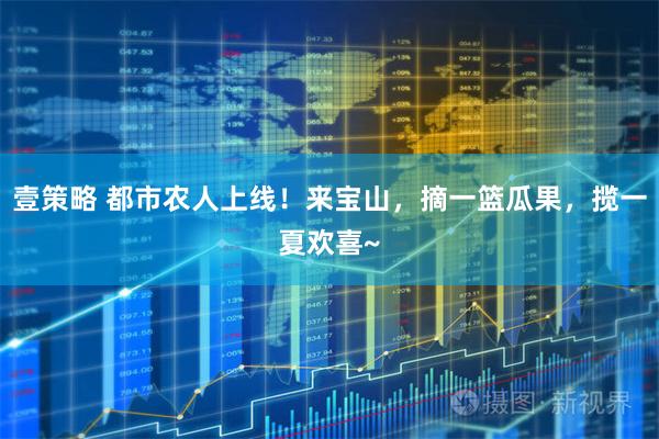 壹策略 都市农人上线!来宝山,摘一篮瓜果,揽一夏欢喜~